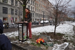 Fotos til hjemmesiden