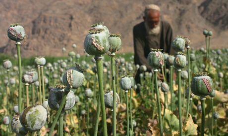 Former UK ambassador to Afghanistan calls for legalisation of drugs. Sir William Patey acknowledges west’s failure to eradicate poppy crops in Afghanistan as he calls for state-regulated drug trade. By Ewen […]